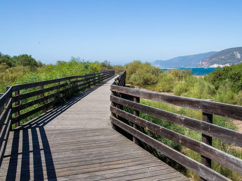 Beach access